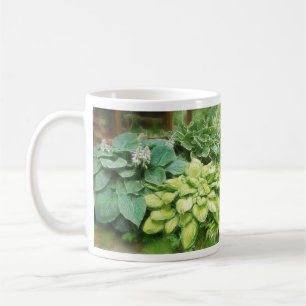 Gerade ein weiterer Hosta! Tasse