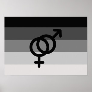 GERADE FLAGGEN-VORLAGE MIT SYMBOL - .PNG POSTER