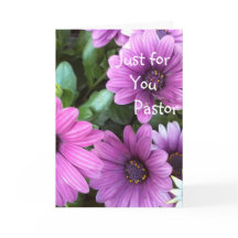 Gerade für Sie Pastor