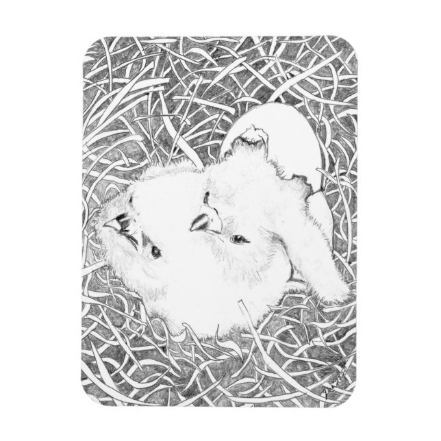 GERADE GESCHLOSSENE EDELLE E15 + E16 WOLLEND FRÜHS MAGNET (Vertikal)