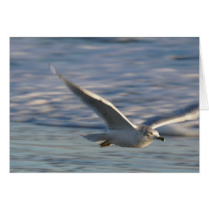 Gerade herum fliegend