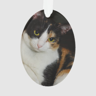 Gerade herum hängend ornament