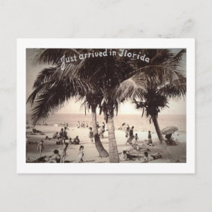 Gerade in Florida angekommen! Vintage Postkarte