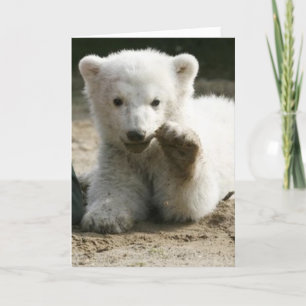 Gerade sagen hallo karte