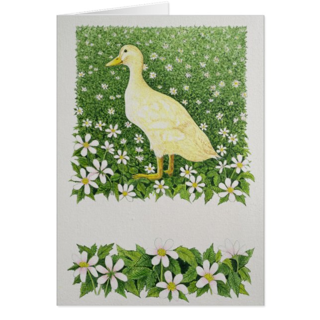 Gerade schauend (Vorne)