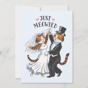 Gerade verheiratete Paare Katze Lustige Hochzeit Feiertagskarte