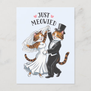 Gerade verheiratete Paare Katze Lustige Hochzeit Postkarte