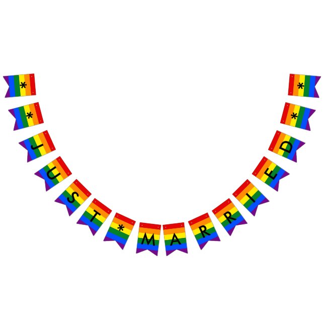 Gerade verheiratetes Stolz-Hochzeits-Party der Wimpelkette (Alle)