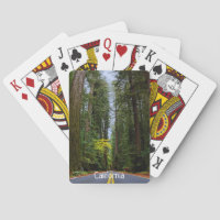 Geradeaus durch den misty Redwood Forest