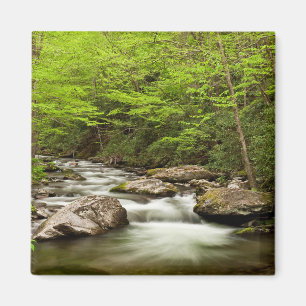 Gerader Fork-Fluss durch den Wald Magnet