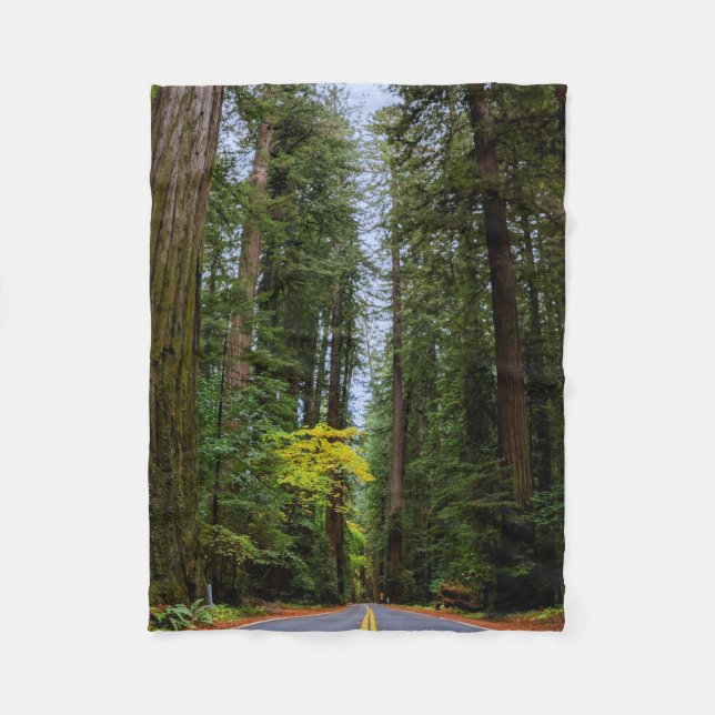 Geradewegs durch den Misty Redwood Forest-S Fleecedecke (Vorderseite)