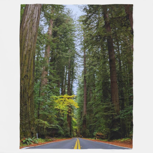 Geradewegs durch den Misty Redwood Forest-S Fleecedecke (Vorderseite)