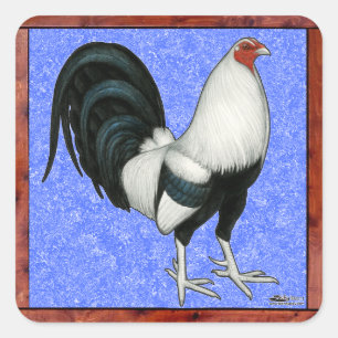 Gerahmt Gamecock Quadratischer Aufkleber