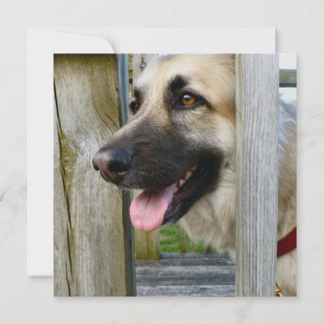 Gerahmt Karte (Vorderseite)