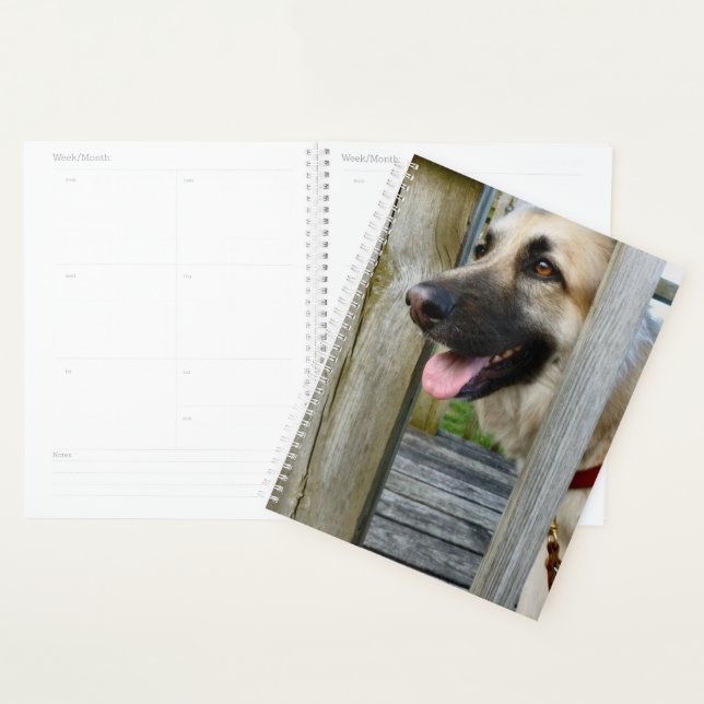 Gerahmt Planer (Anzeige)