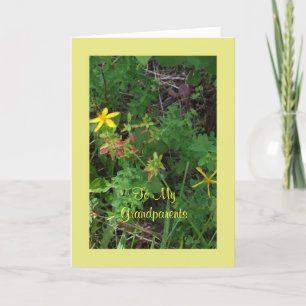 Gerahmte Blume-Karte - Großeltern-Jubiläum Karte