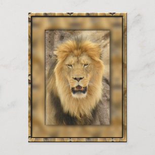 Gerahmte Lion Postkarte