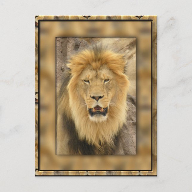 Gerahmte Lion Postkarte (Vorderseite)
