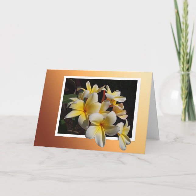 Gerahmte Pulmeria Karte (Vorderseite)