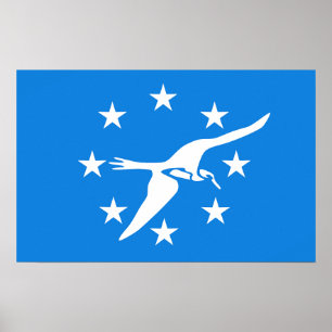 Gerahmter Druck mit Flag von Corpus Christi, USA. Poster