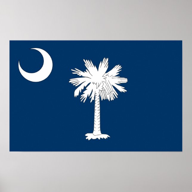 Gerahmter Druck mit Flag von South Carolina, USA. Poster (Vorne)