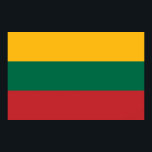 Gerahmter Druck mit litauischer Flagge Poster<br><div class="desc">Fügen Sie Ihrem Platz eine Touch litauischen Stolzes hinzu mit diesem gerahmten Druck, der die Flagge Litauens zeigt! Dieses gerahmte, sorgfältig konzipierte Druckwerk, das die kühnen Trifarben Gelb, Grün und Rot hervorhebt, zeichnet das Wesen der litauischen Nationalidentität in einer gepflegten, eleganten Präsentation auf. Ob im Wohnzimmer, im Büro, in der...</div>