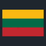 Gerahmter Druck mit litauischer Flagge Poster<br><div class="desc">Fügen Sie Ihrem Platz eine Touch litauischen Stolzes hinzu mit diesem gerahmten Druck, der die Flagge Litauens zeigt! Dieses gerahmte, sorgfältig konzipierte Druckwerk, das die kühnen Trifarben Gelb, Grün und Rot hervorhebt, zeichnet das Wesen der litauischen Nationalidentität in einer gepflegten, eleganten Präsentation auf. Ob im Wohnzimmer, im Büro, in der...</div>