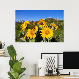 Gerahmter Druck von Arrowleaf Balsamroot Poster