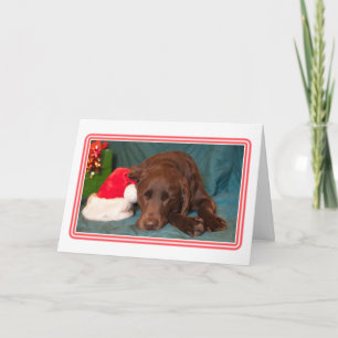 Gerahmter Schokolade-Labrador mit Weihnachtsmannmü Feiertagskarte