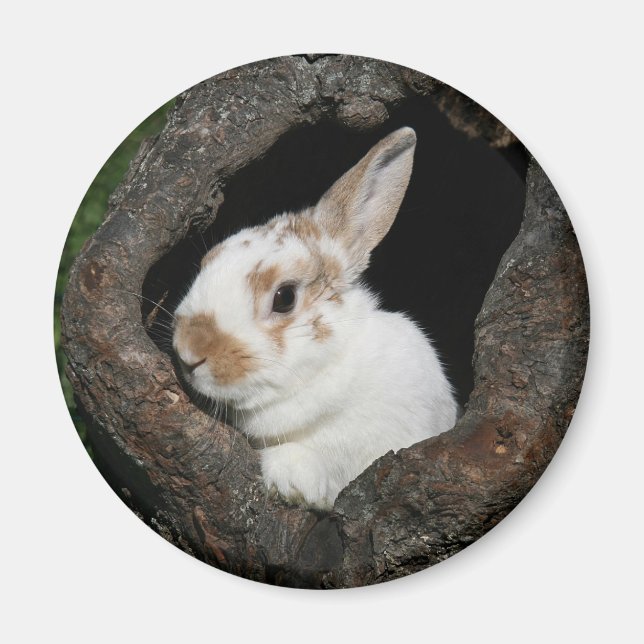Gerahmtes Kaninchen Magnet (Vorne)