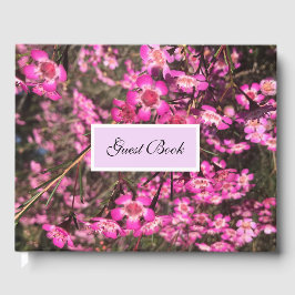 Geraldton Wax Gästebuch