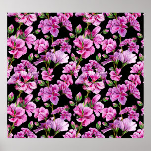 Geranazweige, Aquarellfarben-Rosa-Buds. Poster