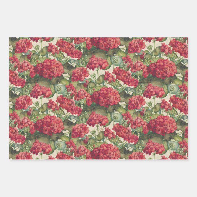 Geranien Rotes Geschenkpapier Flachblatt-Set mit 3 Set (Vorderseite)