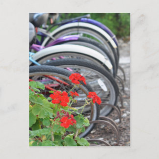 Geranien und Fahrräder Postkarte