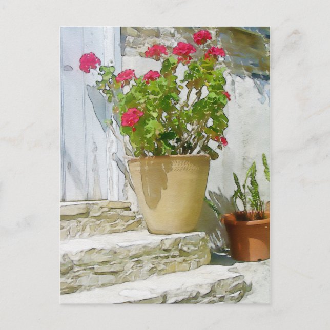Geranine Postkarte (Vorderseite)