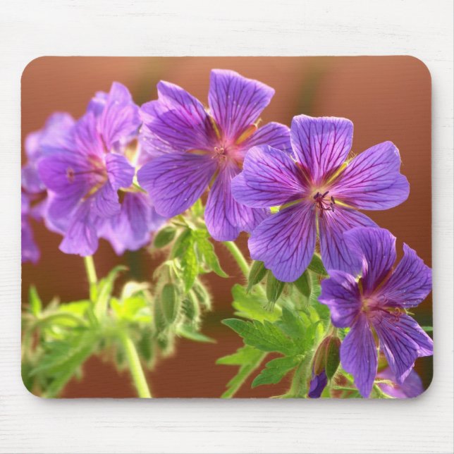 Geranium Blume Mousepad (Vorne)