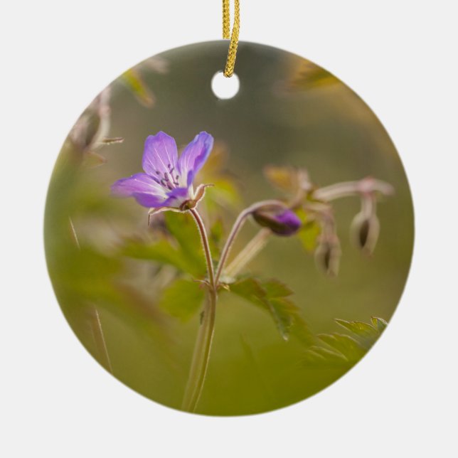 Geranium Blume Nature Foto Keramik Ornament (Vorne)