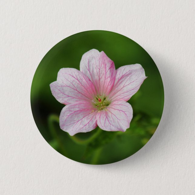 Geranium Button (Vorderseite)