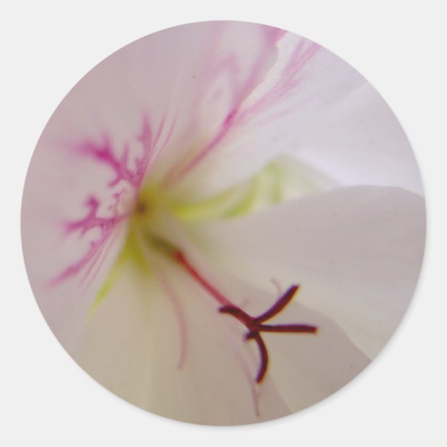 Geranium Center Stickers (Vorderseite)