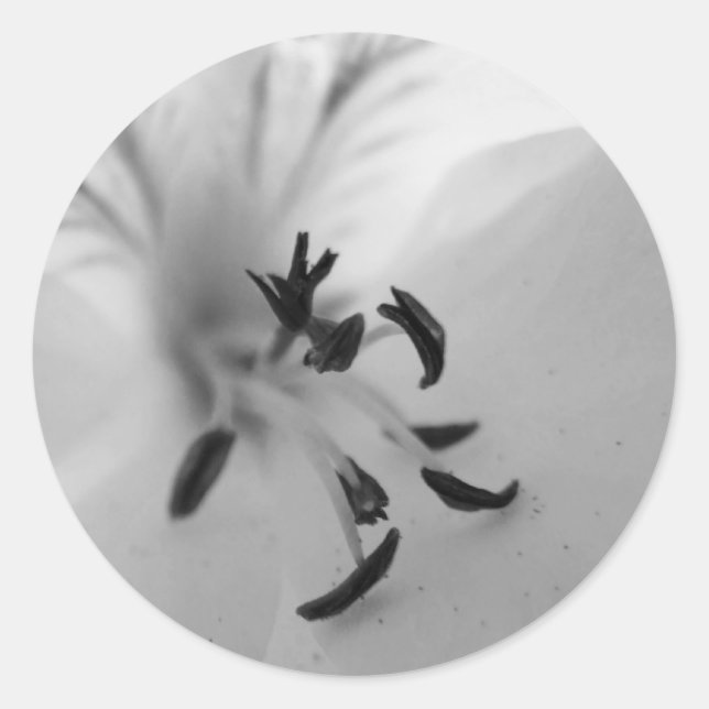 Geranium Center Stickers B&W (Vorderseite)