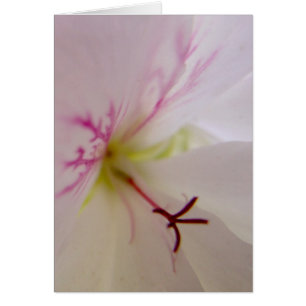 Geranium Detail Card