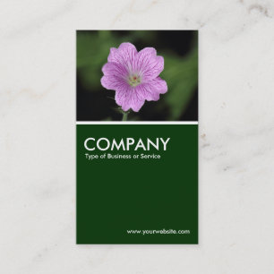 Geranium Endressii - Dunkelgrün Visitenkarte