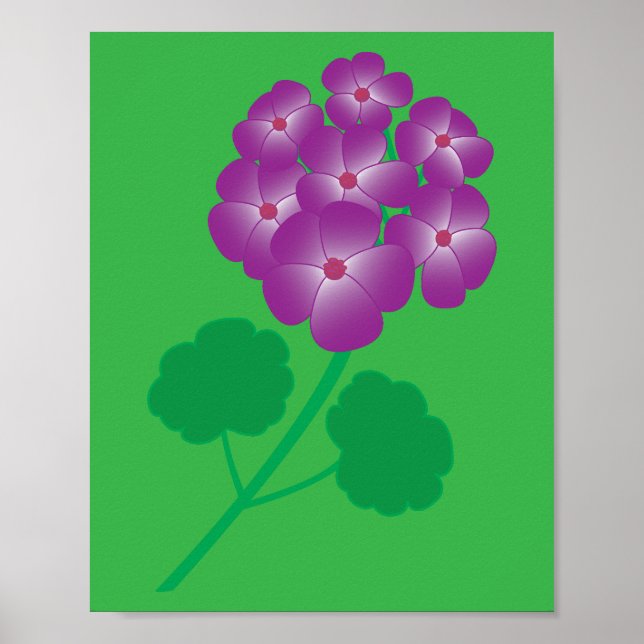 Geranium Flowers Poster (Vorne)