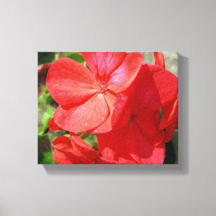 Geranium Leinwanddruck