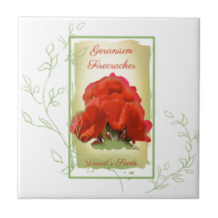 Geranium-Samenpack Fliese