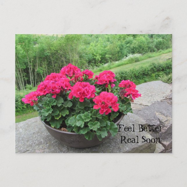 Geranium - Sich bald besser fühlen Postkarte (Vorderseite)