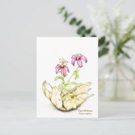 Geranium wildflower watercolor postkarte