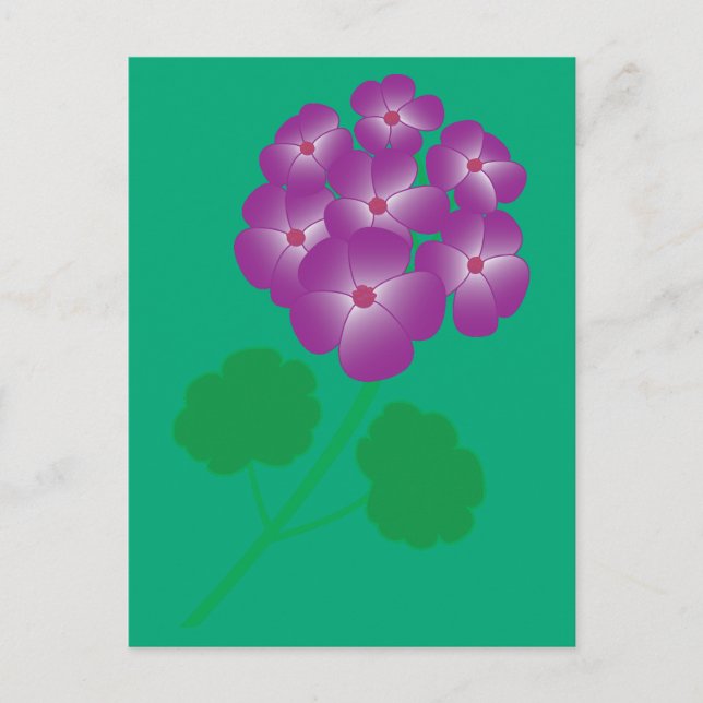 Geraniumblüten Postkarte (Vorderseite)