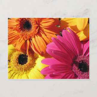 gerber-4 postkarte
