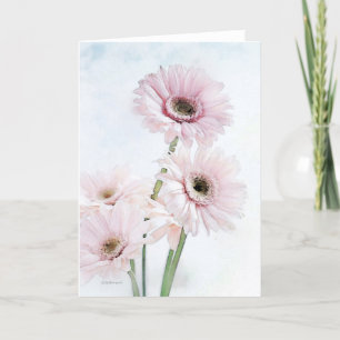 Gerber Daisies - Etsy Karte